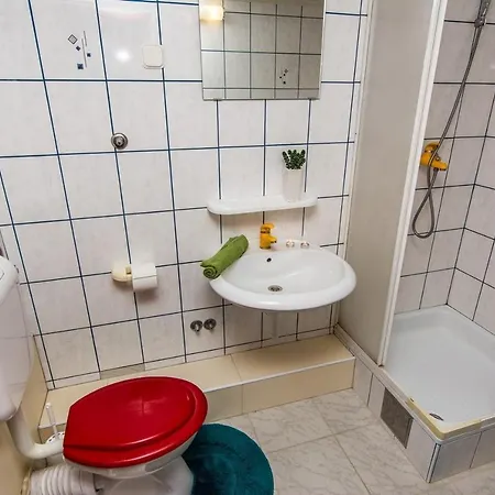 Seaside Family Friendly House With A Swimming Pool Krusevo, Novigrad - 21963 * Basic