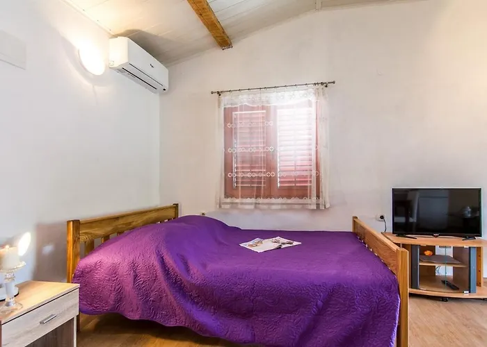 Seaside Family Friendly House With A Swimming Pool Krusevo, Novigrad - 21963 Basic